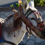 2012-09-14 19-02-37 2